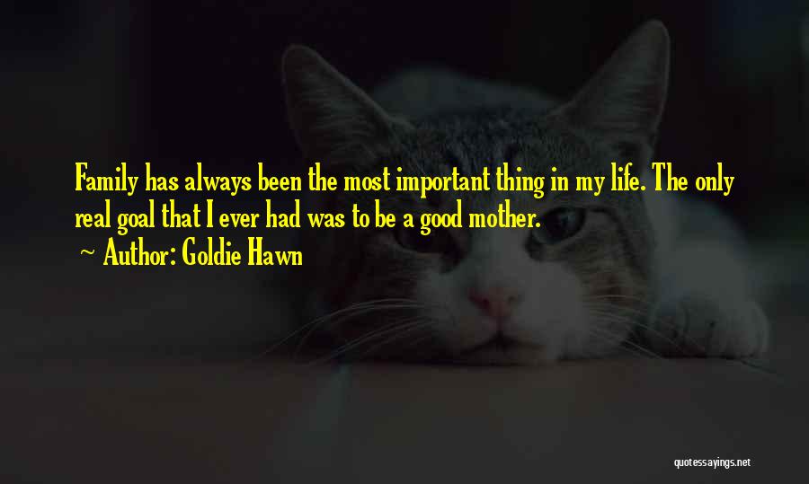 You Are Very Important In My Life Quotes By Goldie Hawn