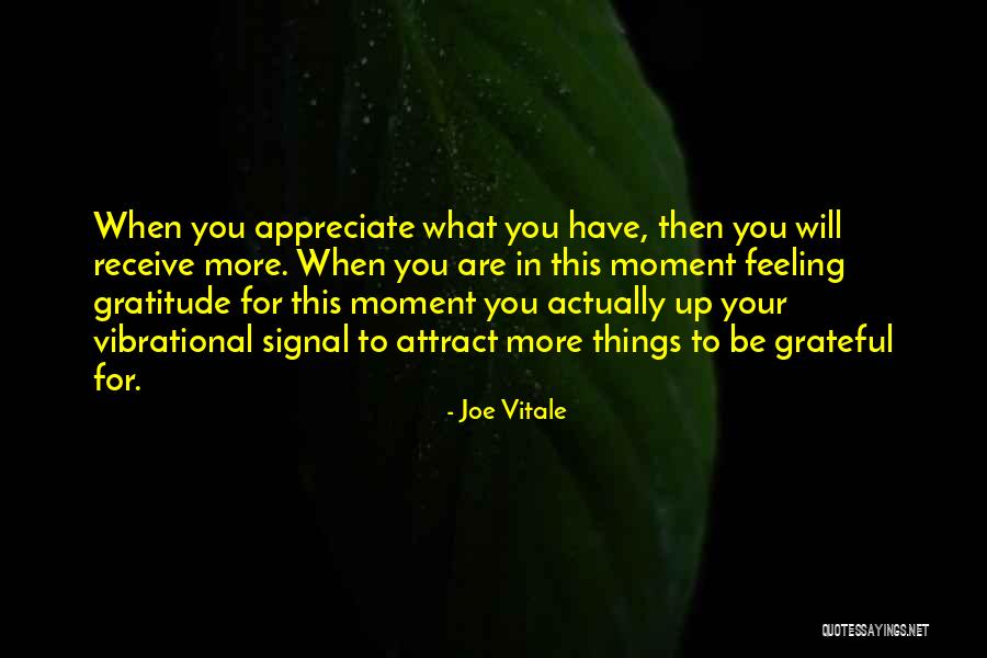 You Are What You Attract Quotes By Joe Vitale