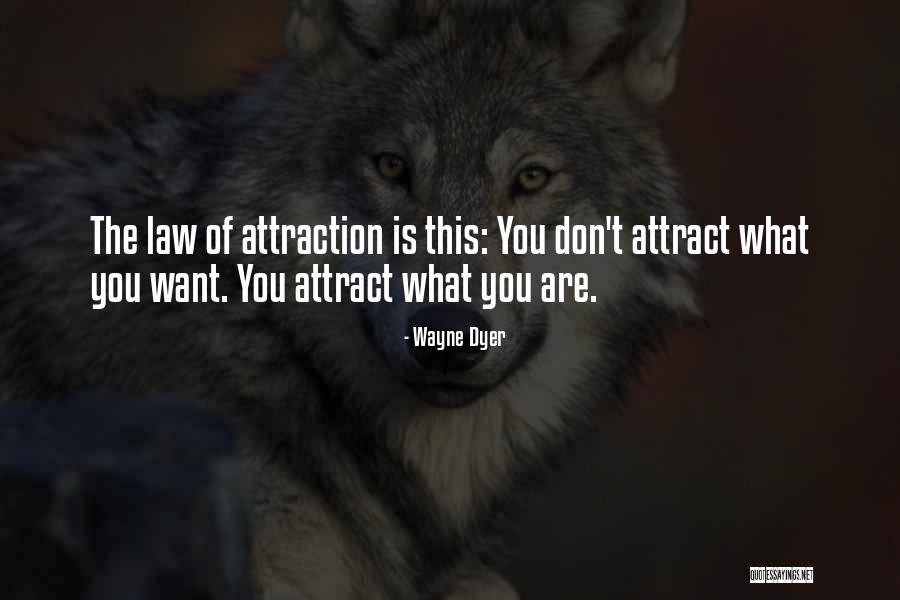 You Are What You Attract Quotes By Wayne Dyer