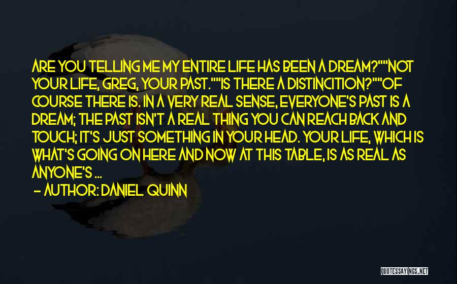 You Are What You Dream Quotes By Daniel Quinn