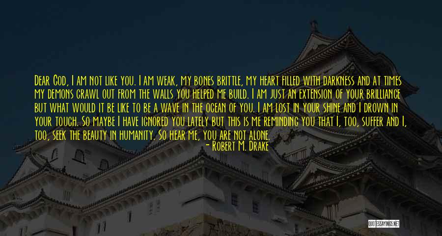 You Are What You Seek Quotes By Robert M. Drake You Are What You Seek Quotes By Robert M. Drake