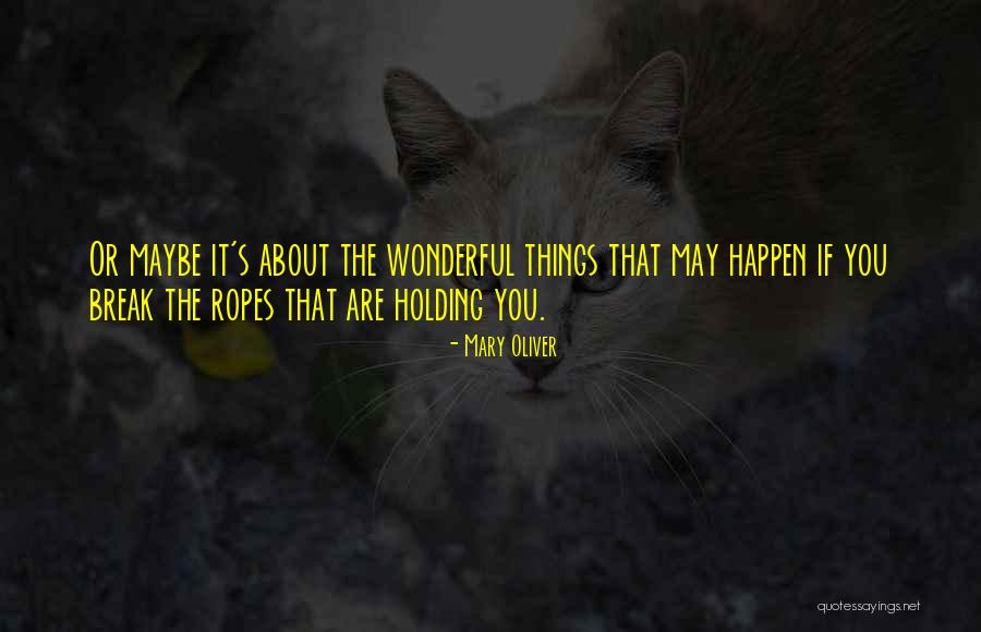 You Are Wonderful Quotes By Mary Oliver