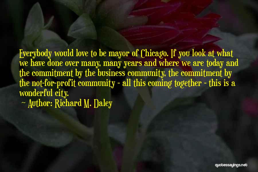 You Are Wonderful Quotes By Richard M. Daley
