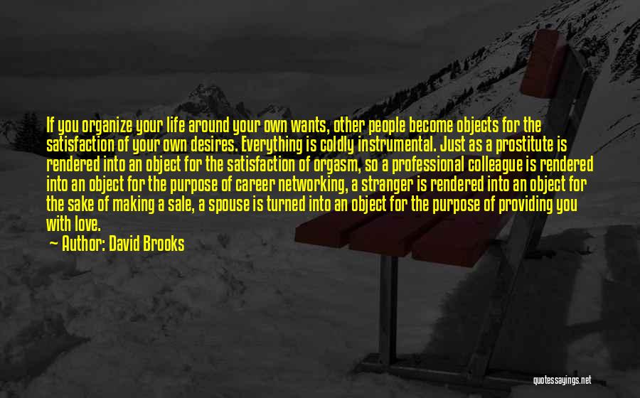 You Become A Stranger Quotes By David Brooks