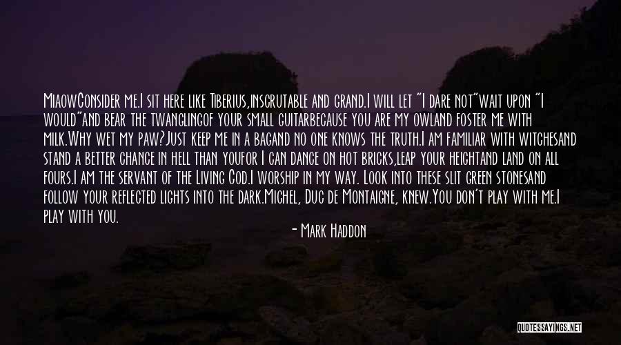 You Better Dance Quotes By Mark Haddon You Better Dance Quotes By Mark Haddon