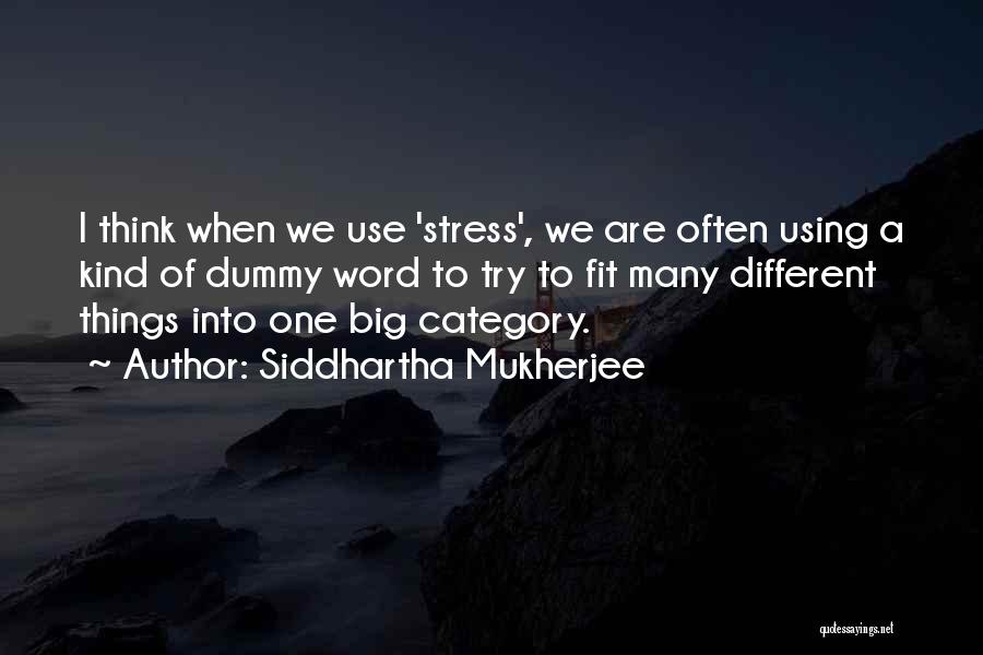 You Big Dummy Quotes By Siddhartha Mukherjee