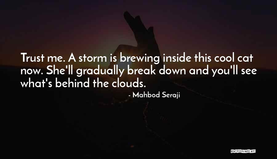 You Break Me Down Quotes By Mahbod Seraji