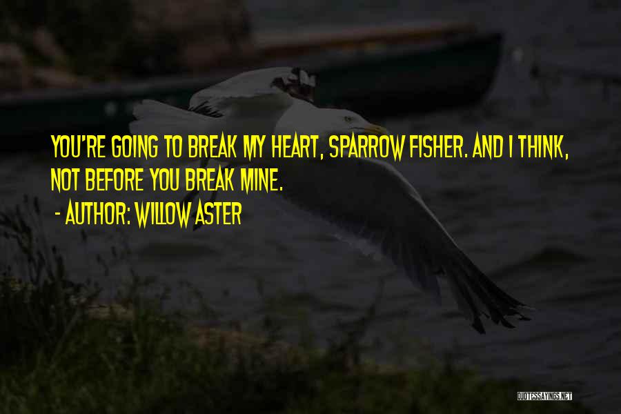 You Break My Heart Quotes By Willow Aster