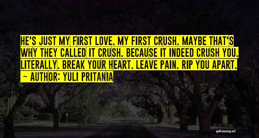 You Break My Heart Quotes By Yuli Pritania