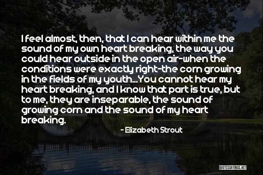 You Breaking My Heart Quotes By Elizabeth Strout