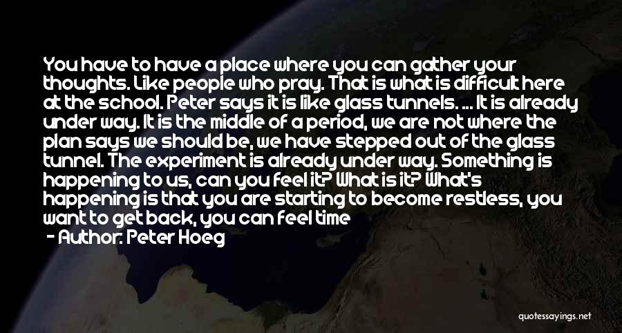 You Came Along Way Quotes By Peter Hoeg
