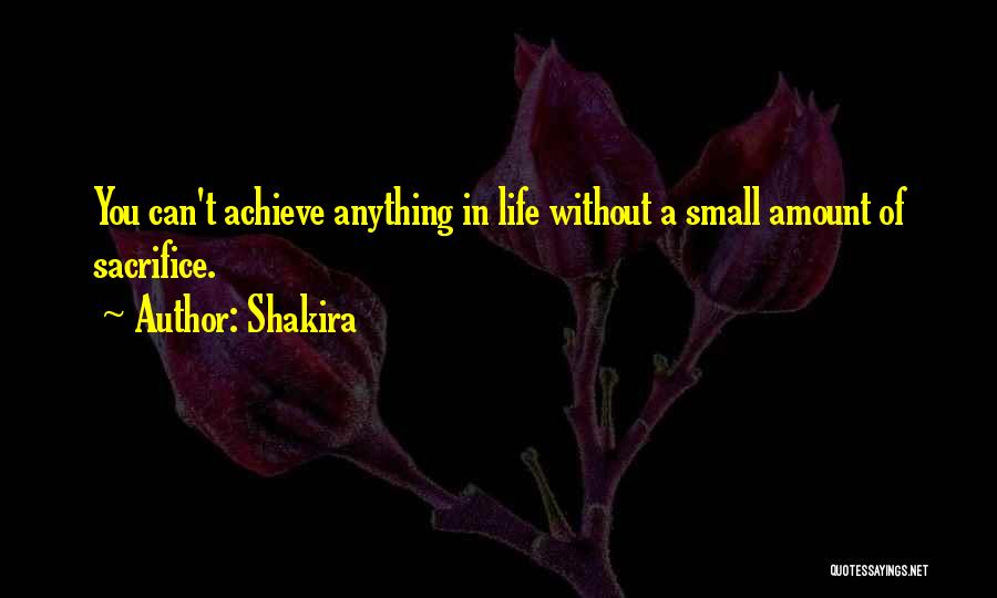 You Can Achieve Anything Quotes By Shakira