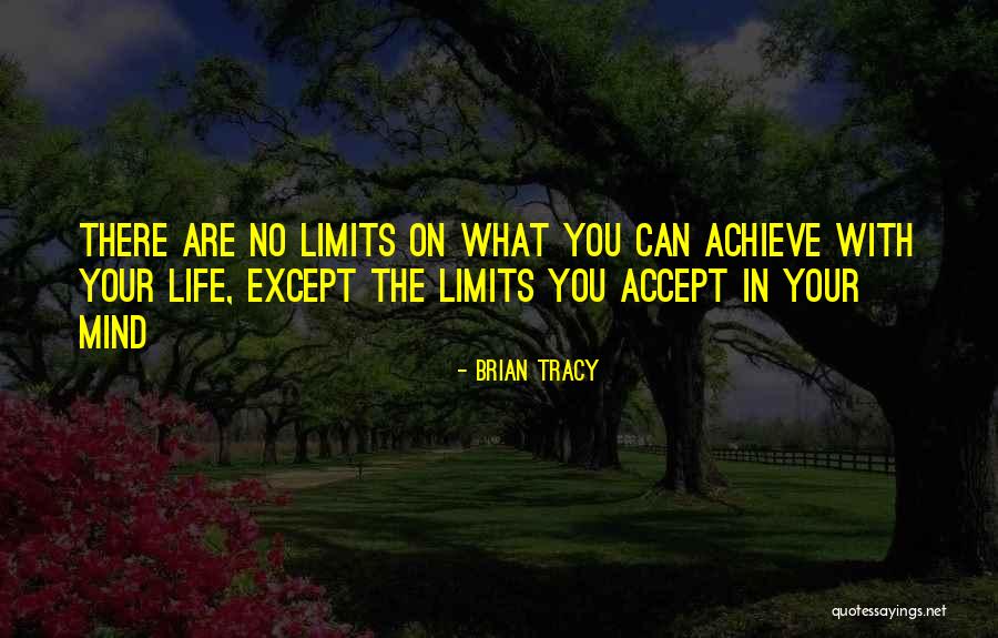 You Can Achieve Quotes By Brian Tracy