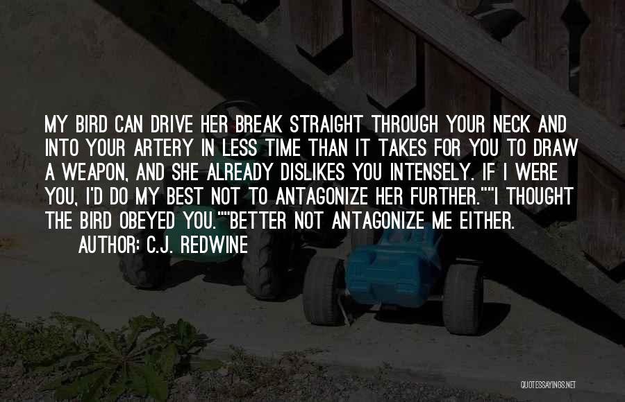 You Can Break Me Quotes By C.J. Redwine