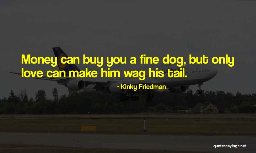 You Can Buy Love Quotes By Kinky Friedman