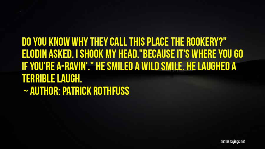 You Can Call Me Crazy Quotes By Patrick Rothfuss