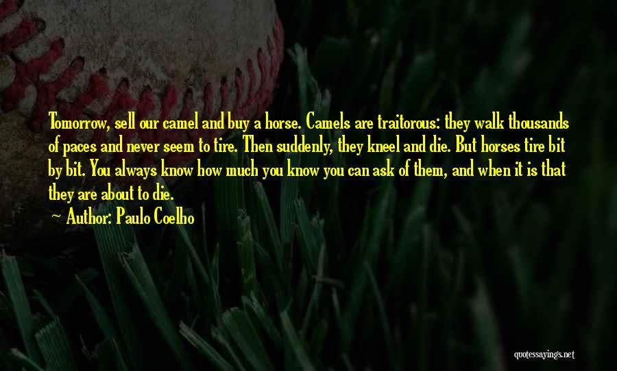 You Can Die Tomorrow Quotes By Paulo Coelho