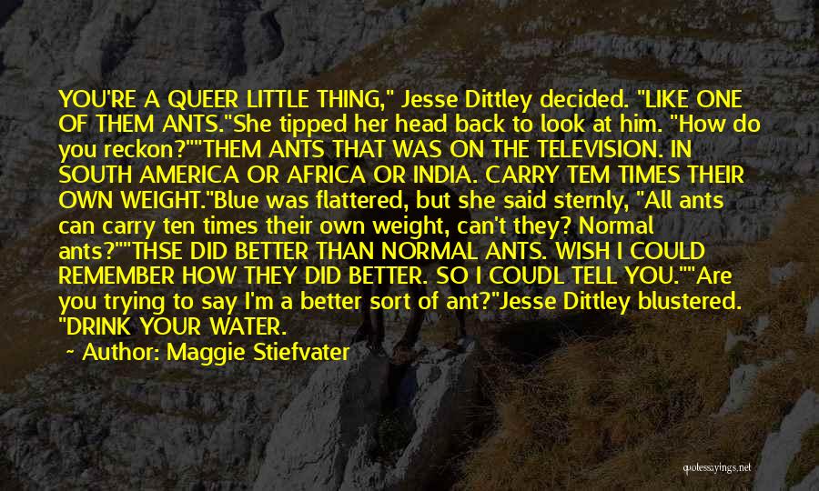 You Can Do Better Than Her Quotes By Maggie Stiefvater