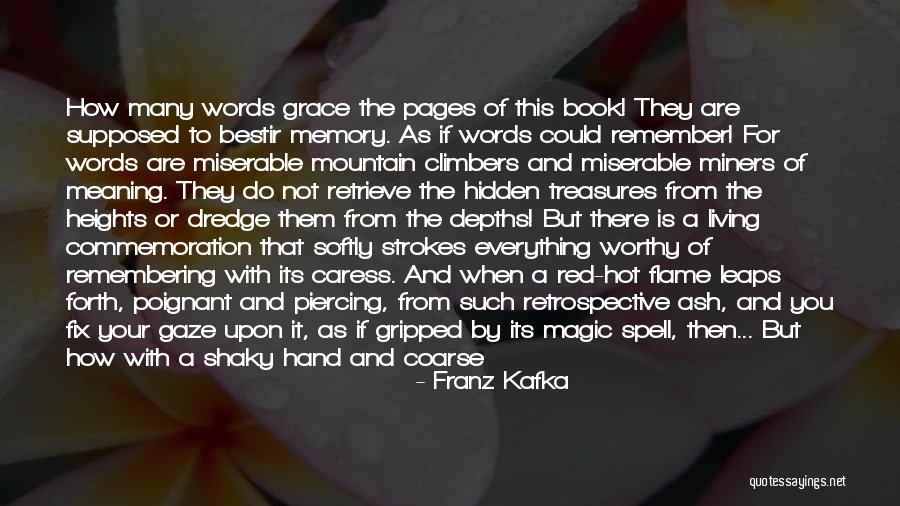 You Can Fix Everything Quotes By Franz Kafka