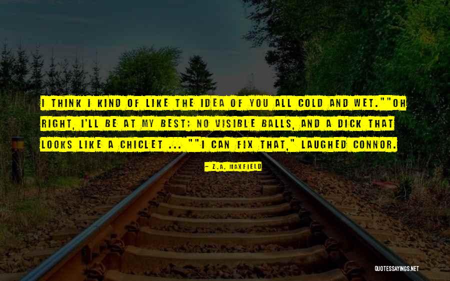 You Can Fix Quotes By Z.A. Maxfield You Can Fix Quotes By Z.A. Maxfield
