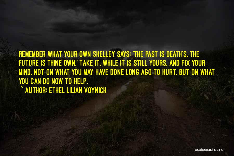 You Can Fix The Past Quotes By Ethel Lilian Voynich