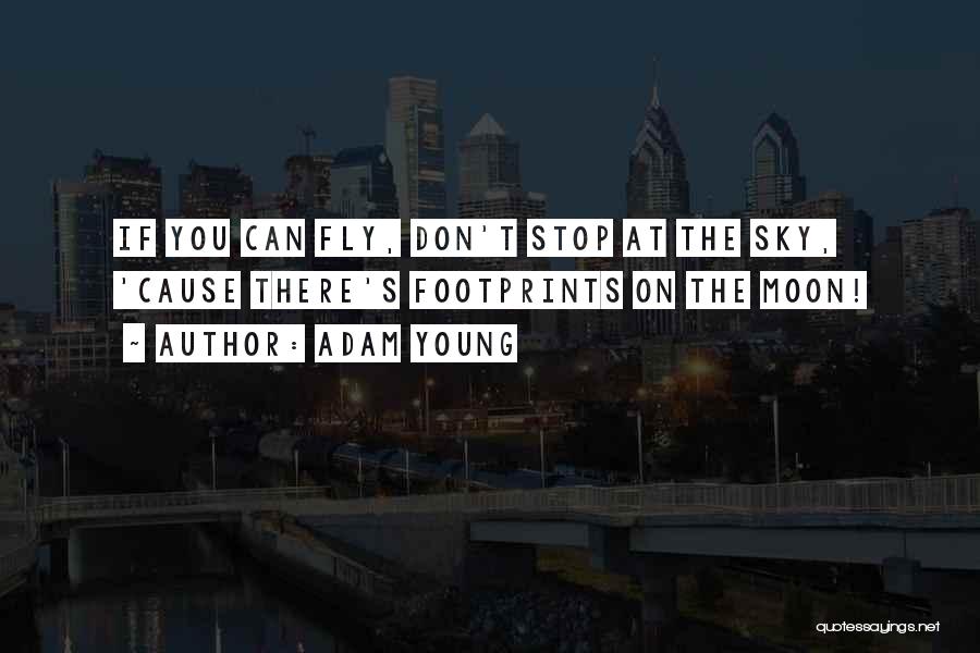 You Can Fly Quotes By Adam Young