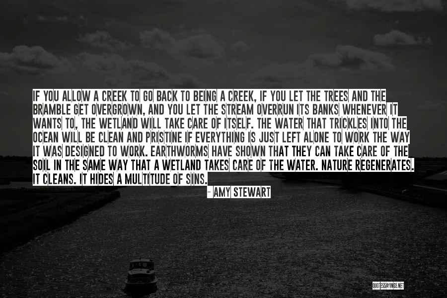 You Can Go Back Quotes By Amy Stewart You Can Go Back Quotes By Amy Stewart