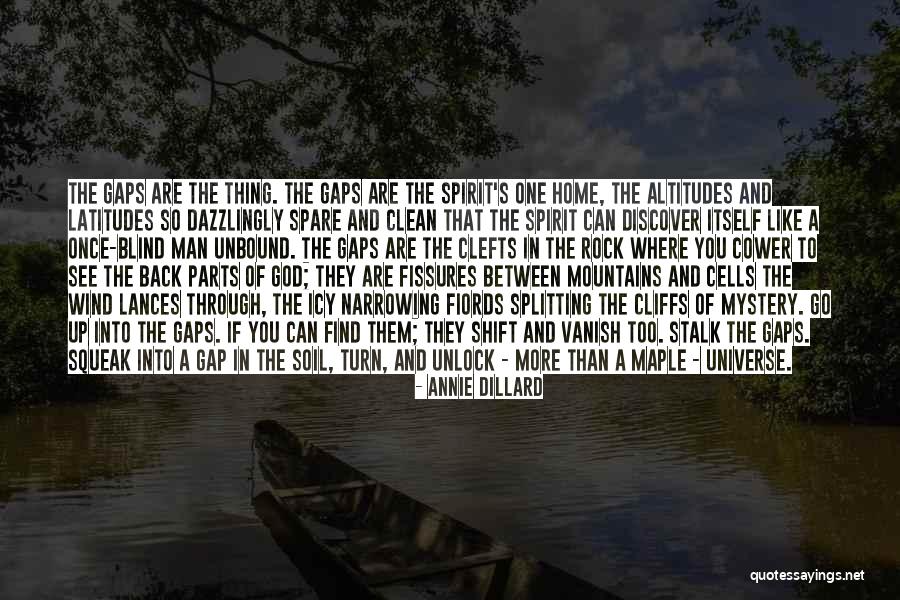 You Can Go Back Quotes By Annie Dillard You Can Go Back Quotes By Annie Dillard