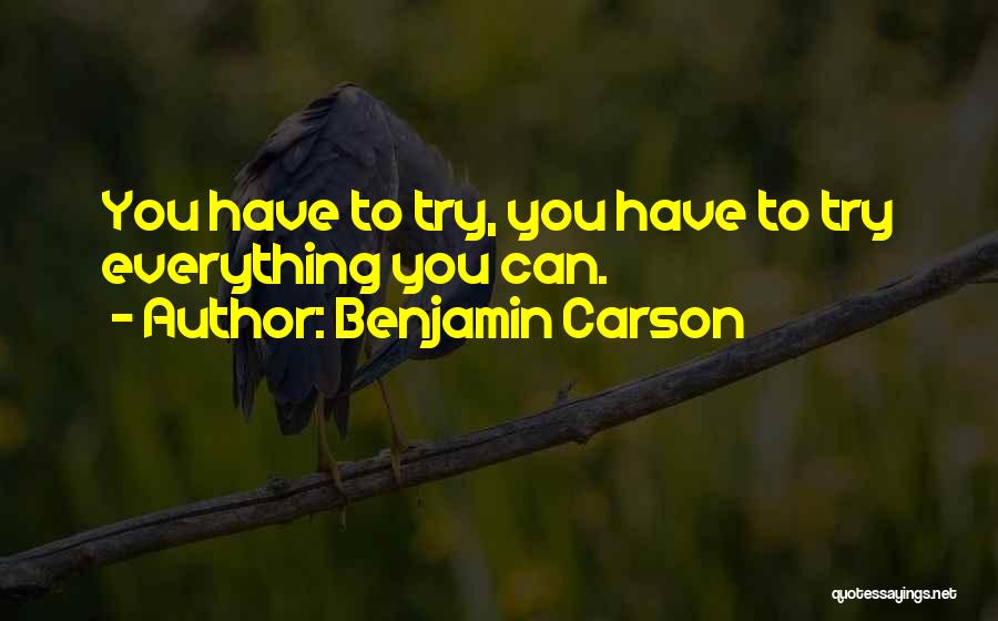 You Can Have Everything Quotes By Benjamin Carson