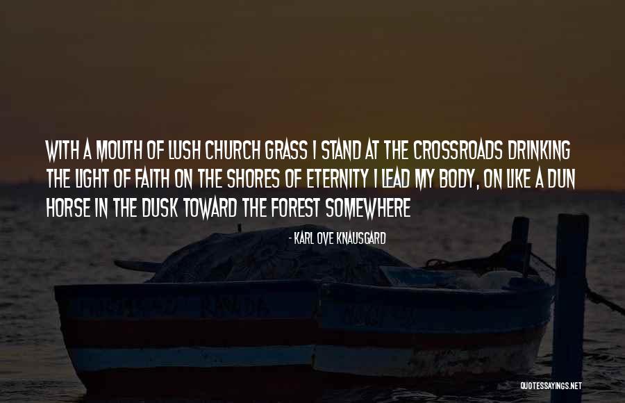 You Can Lead A Horse Quotes By Karl Ove Knausgard You Can Lead A Horse Quotes By Karl Ove Knausgard