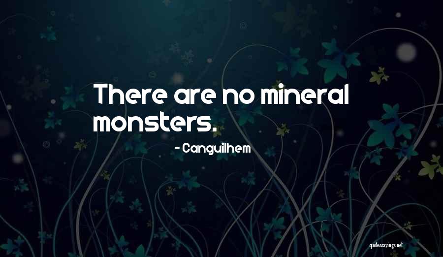 You Can Learn A Lot By Observing Quotes By Canguilhem You Can Learn A Lot By Observing Quotes By Canguilhem