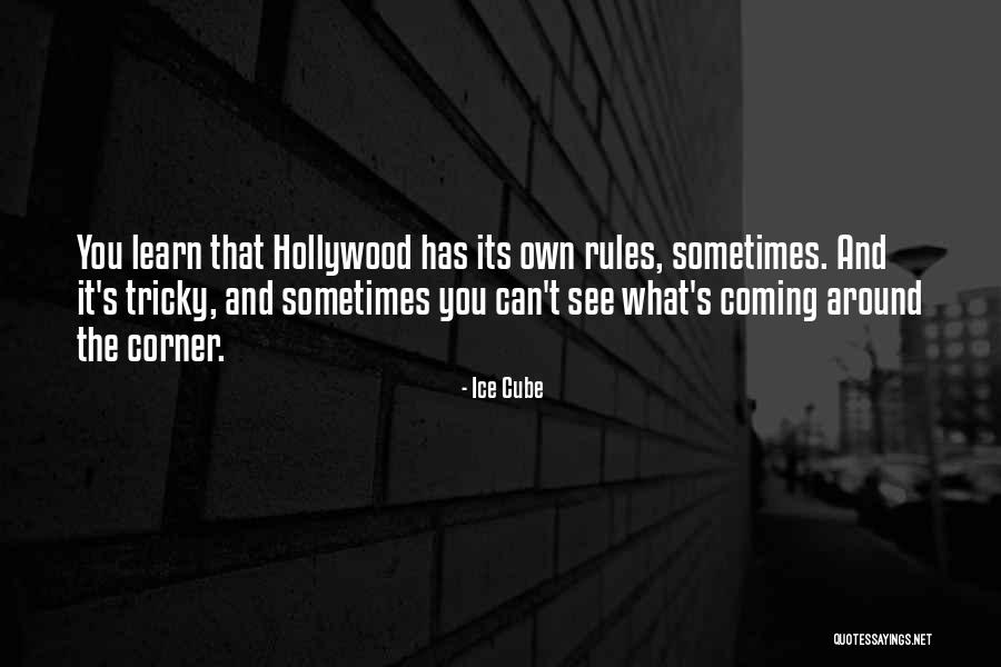 You Can Learn Quotes By Ice Cube You Can Learn Quotes By Ice Cube