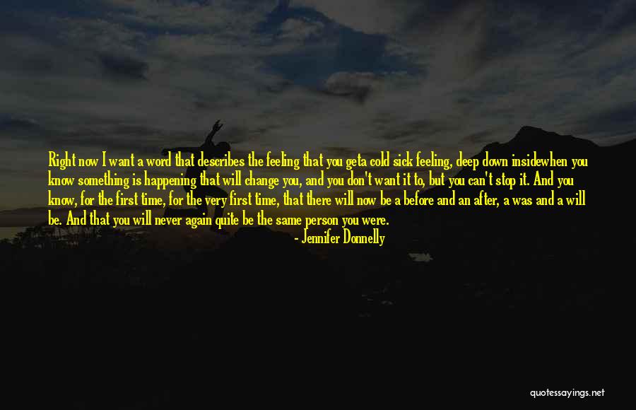 You Can Never Change Person Quotes By Jennifer Donnelly You Can Never Change Person Quotes By Jennifer Donnelly