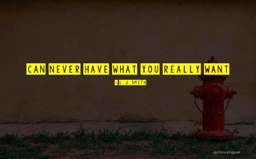 You Can Never Have Quotes By L.J.Smith You Can Never Have Quotes By L.J.Smith