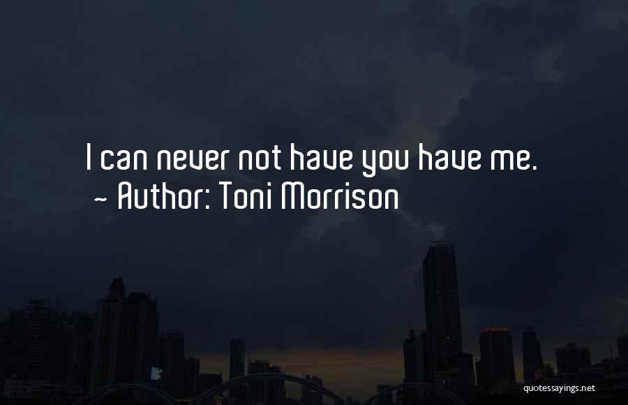 You Can Never Have Quotes By Toni Morrison