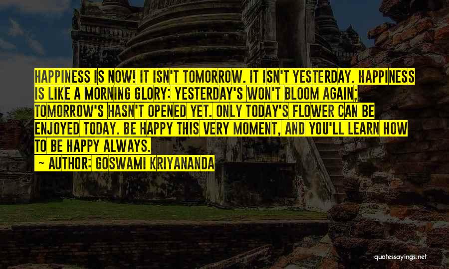 You Can Only Be Happy Quotes By Goswami Kriyananda