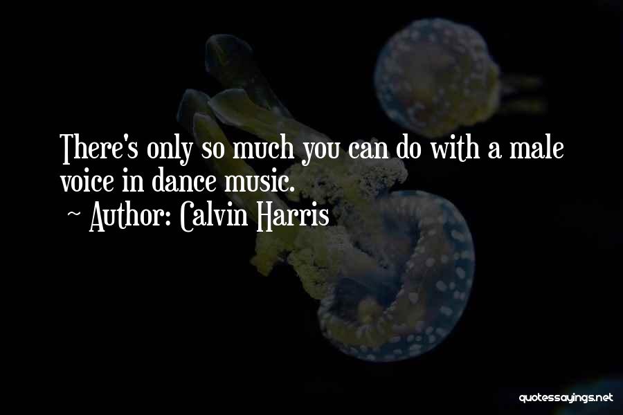 You Can Only Do So Much Quotes By Calvin Harris