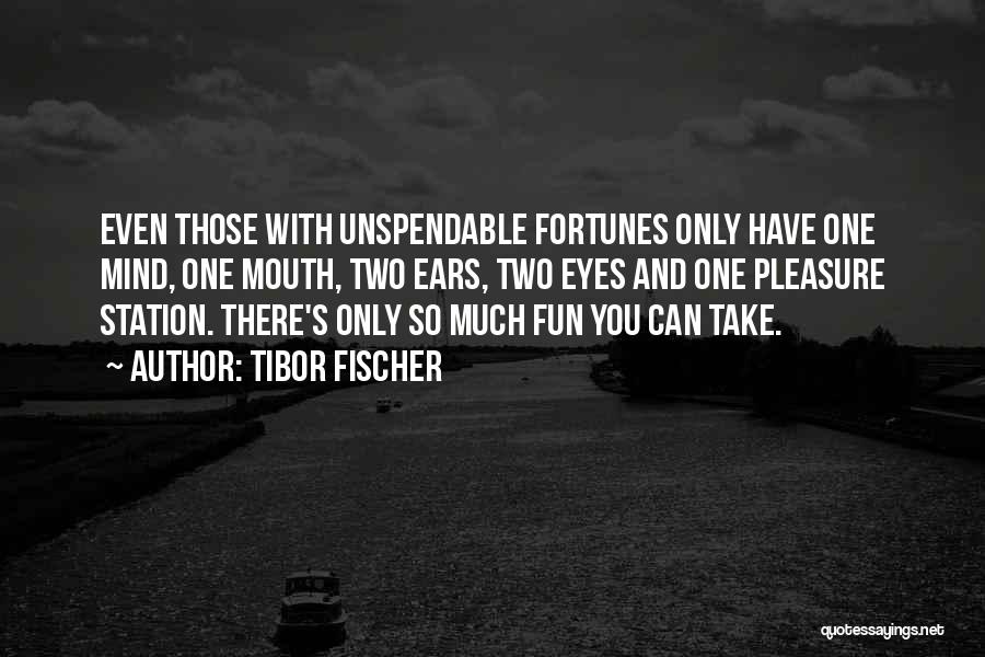 You Can Only Take So Much Quotes By Tibor Fischer