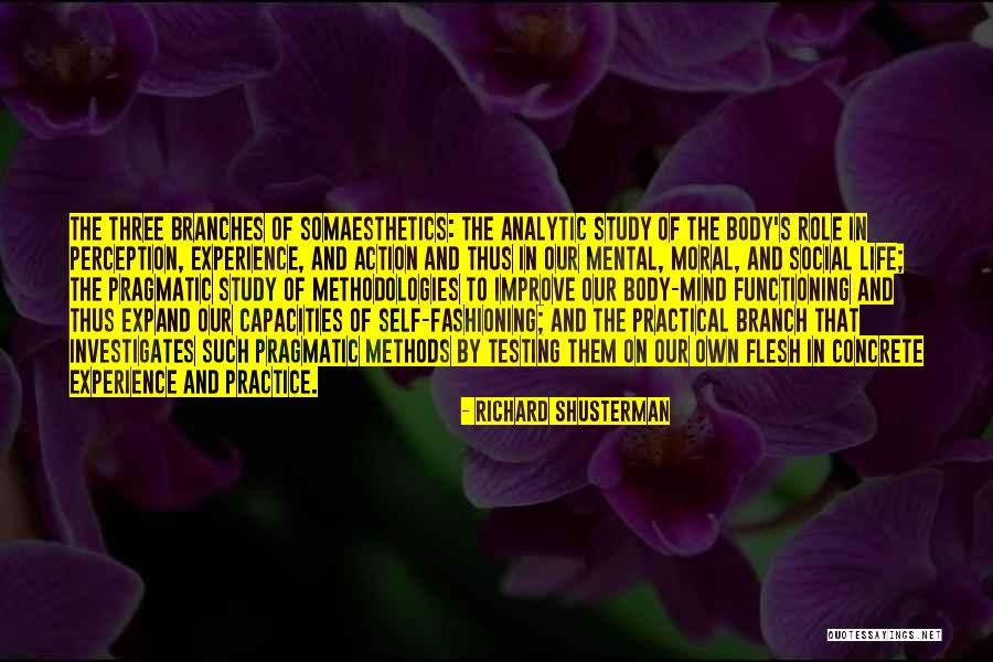 You Can Practice And Improve Quotes By Richard Shusterman You Can Practice And Improve Quotes By Richard Shusterman
