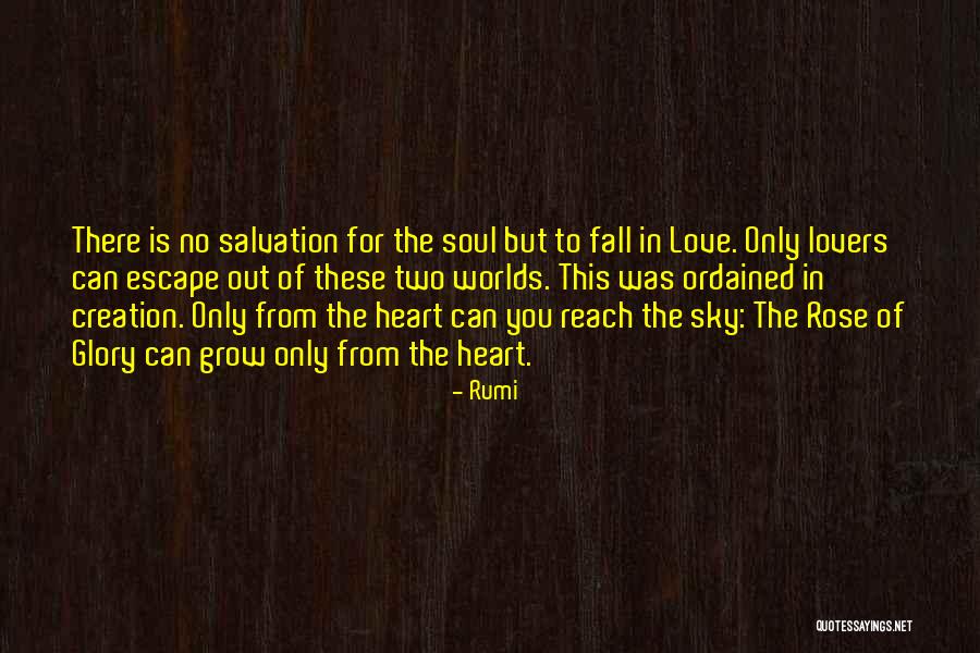 You Can Reach The Sky Quotes By Rumi You Can Reach The Sky Quotes By Rumi