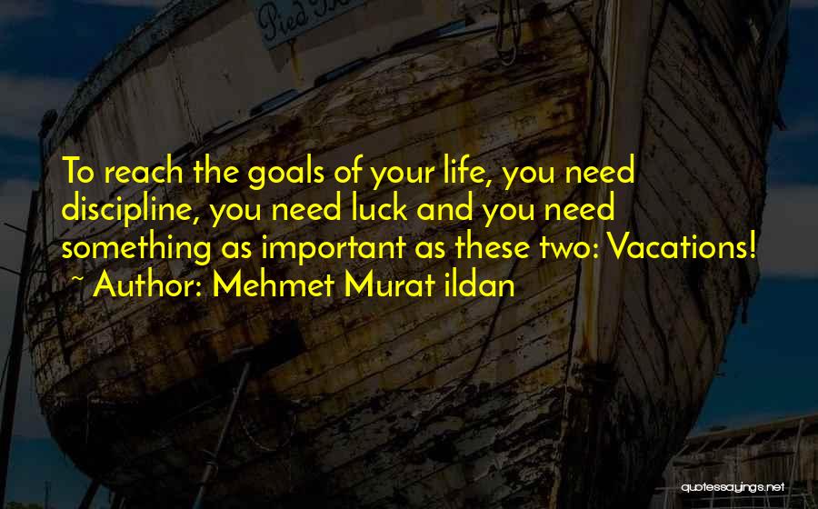 You Can Reach Your Goals Quotes By Mehmet Murat Ildan