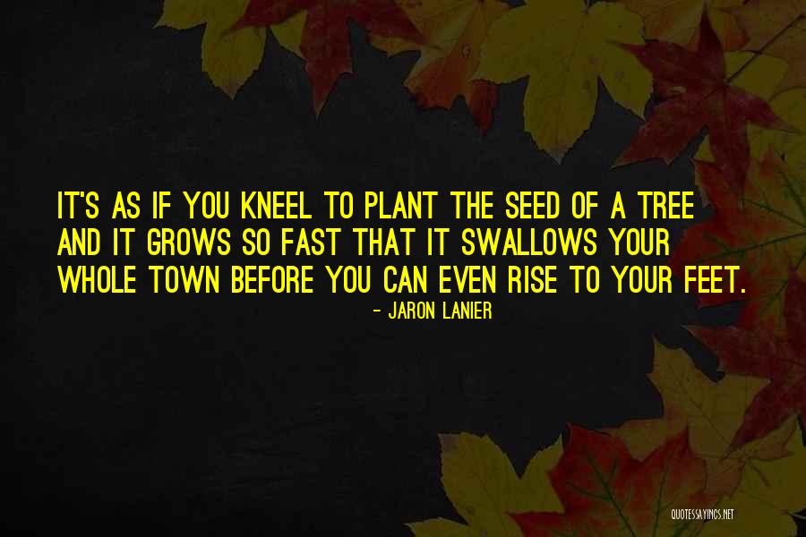 You Can Rise Quotes By Jaron Lanier You Can Rise Quotes By Jaron Lanier