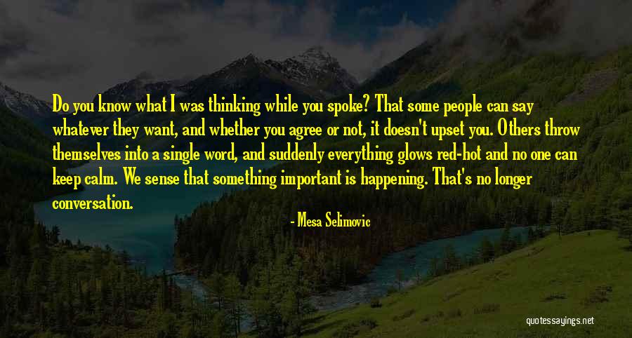 You Can Say Whatever You Want Quotes By Mesa Selimovic You Can Say Whatever You Want Quotes By Mesa Selimovic