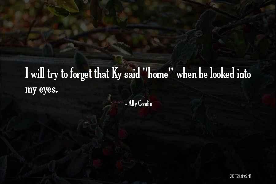 You Can Try To Forget Me Quotes By Ally Condie