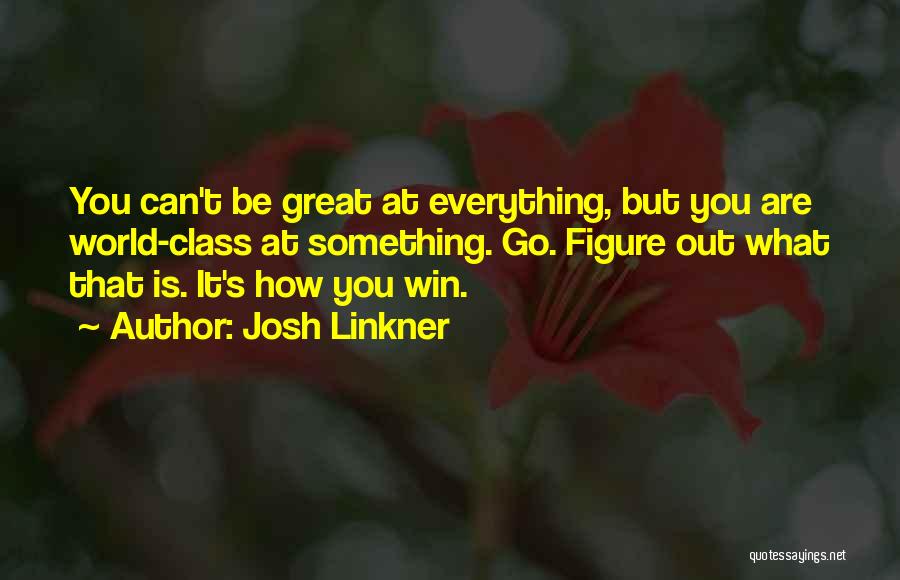 You Can Win Quotes By Josh Linkner
