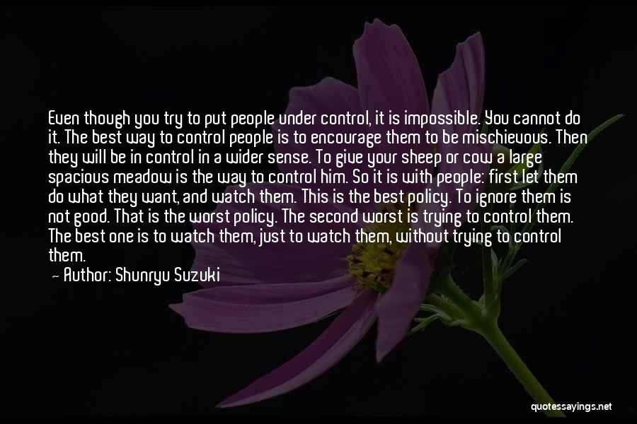 You Cannot Control Quotes By Shunryu Suzuki