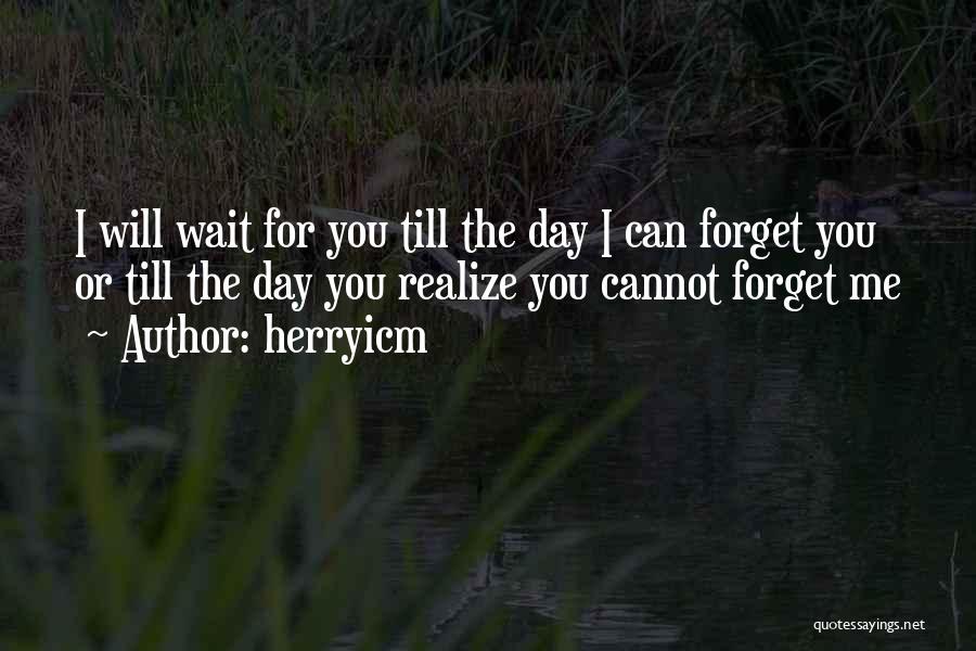 You Cannot Forget Me Quotes By Herryicm