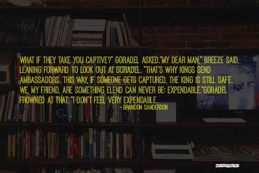 You Can't Be My Friend Quotes By Brandon Sanderson You Can't Be My Friend Quotes By Brandon Sanderson