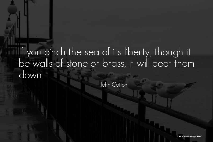 You Can't Beat Me Down Quotes By John Cotton