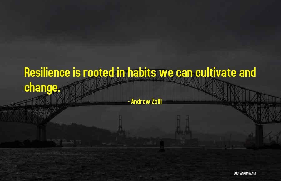 You Cant Change It Quotes By Andrew Zolli